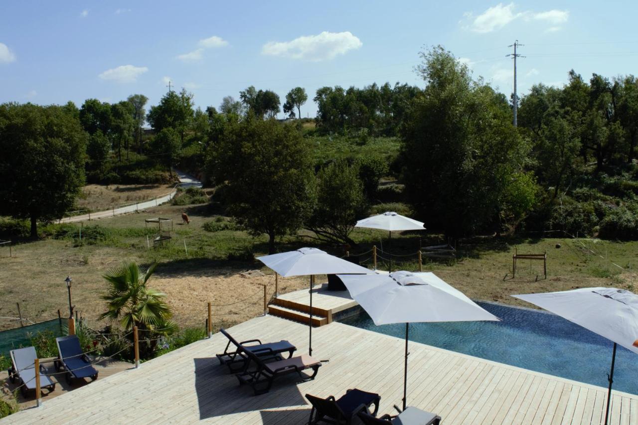 Quinta Castanheira Apartment Santa Comba Dao Luaran gambar